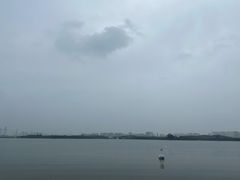 -郑东新区龙湖公共艺术中心