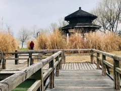 -渤公岛生态公园