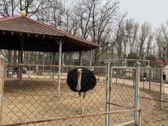 -意大利农场度假村