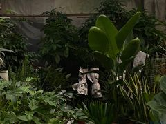 -金陵花卉交易市场