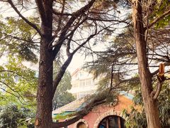 -八大关景区