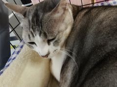 -谜盒子奇幻密室(南屏店)