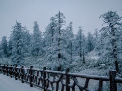 -瓦屋山景区