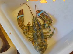 -人杰鱼乐轩(珠江路店)