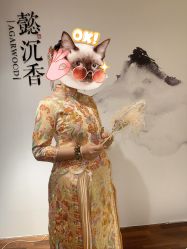 -懿沉香中式嫁衣礼服秀禾服龙凤褂马来褂旗袍总店