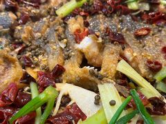 -老板恋上鱼(印象城店)