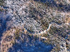 -鲁山国家森林公园