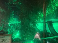 -花水湾第一村温泉大酒店
