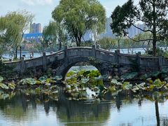 -无锡蠡湖国家湿地公园-蠡园