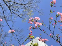 -杭州师范大学(下沙校区)