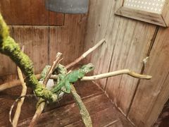 -上海大自然野生昆虫馆