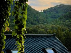 -马灯部落·西湖边的创意山景餐厅(虎跑动物园店)