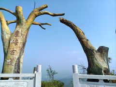 -长沙黑麋峰国家森林公园