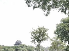 -海珠湖公园