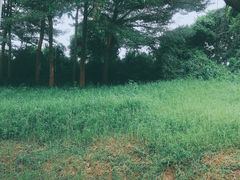 -华南师范大学(广州大学城校区)