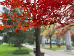 -唐城墙遗址公园