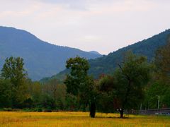-塔川景区