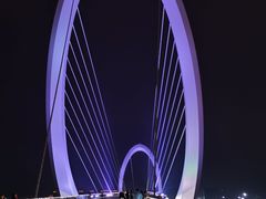 -南京眼步行桥