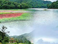 -广州市石门国家森林公园