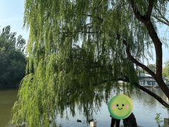 景点-天津水上公园