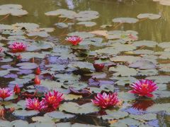 -国家植物园南园