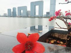 -喜洲吧·江畔老船厂·庭院餐厅(喜临院店)
