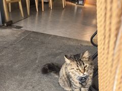-Echo回声黑胶唱片咖啡馆
