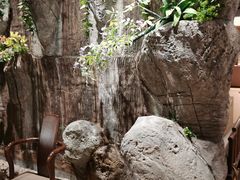 -老湘亲·品鉴湘菜(湖里店)