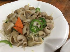 鱼肚-南记食粥坊·宵夜大排档(莲花总店)