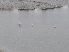 -怡海公园(桂城街道)