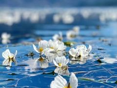 -丽江泸沽湖景区