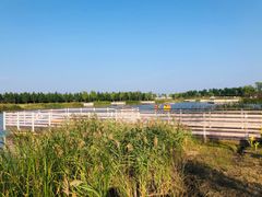 -春花秋色城市公园