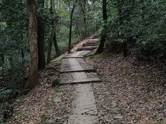 -西湖风景区十里琅珰-五云山