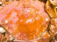 -北塘海鲜·天津菜(大光明桥旗舰店)