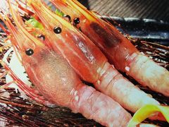 -千代武日本料理(哈西店)