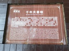 -呀诺达热带雨林