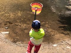 -碓臼峪自然风景区