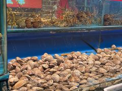 -谊荣海鲜大牌档(石湖店)