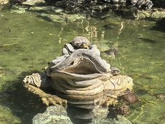 -国恩寺