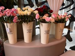 -龟兹KUCINA·新疆菜(前滩L+PLAZA店)