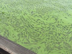 -湖州太湖旅游度假区-月亮广场