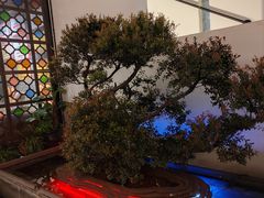 -怡得观滇餐厅·地道昆明菜·1996(海埂大坝店)
