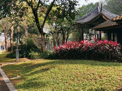 -顺峰山公园