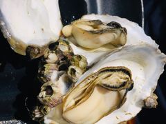 -庆合府重庆大排档(紫都城店)