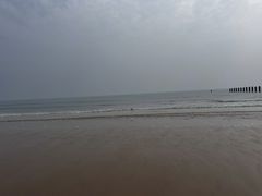 -日照海滨国家森林公园