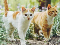 -苏州河梦清园环保主题公园