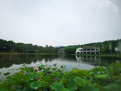 -苏州环秀晓筑养生度假村
