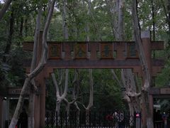 -灵谷景区