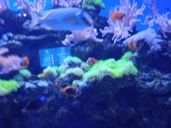 -多彩贵州城极地海洋世界