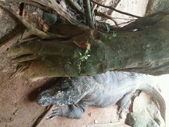 android_upload_pic-印尼缩影公园